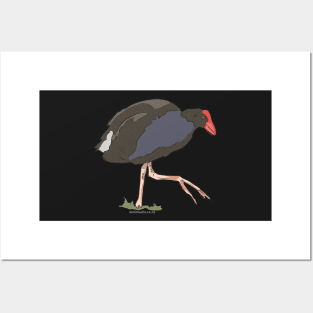 Hand Drawn New Zealand Pukeko Bird Posters and Art